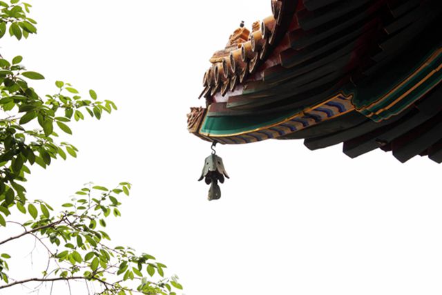 属虎男与属猪女的婚姻，看似不搭，实则天作之合-第1张图片-三藏算命网